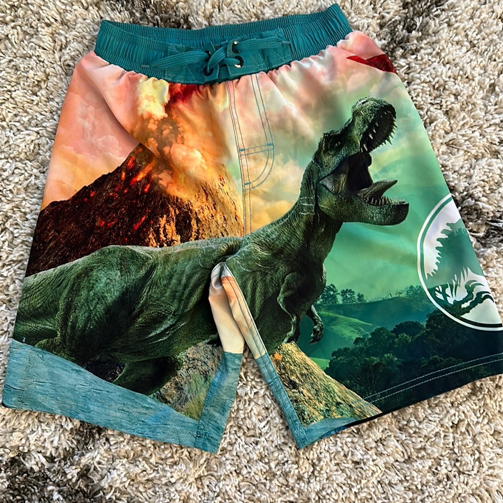 Jurassic Park swim trunks